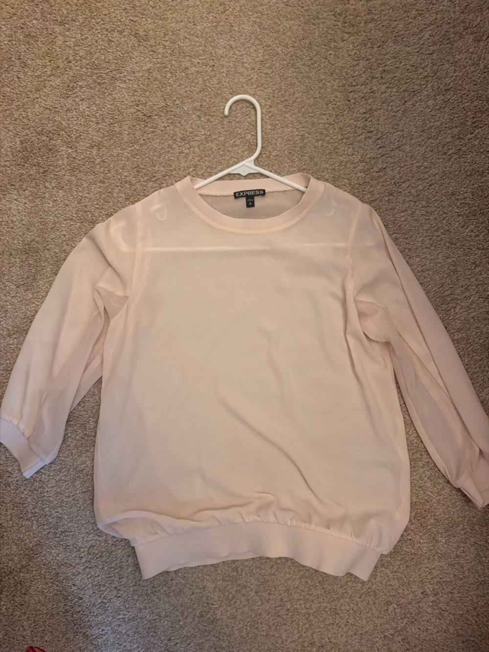 Express Sheer Blush Pink Long Sleeve Blouse
